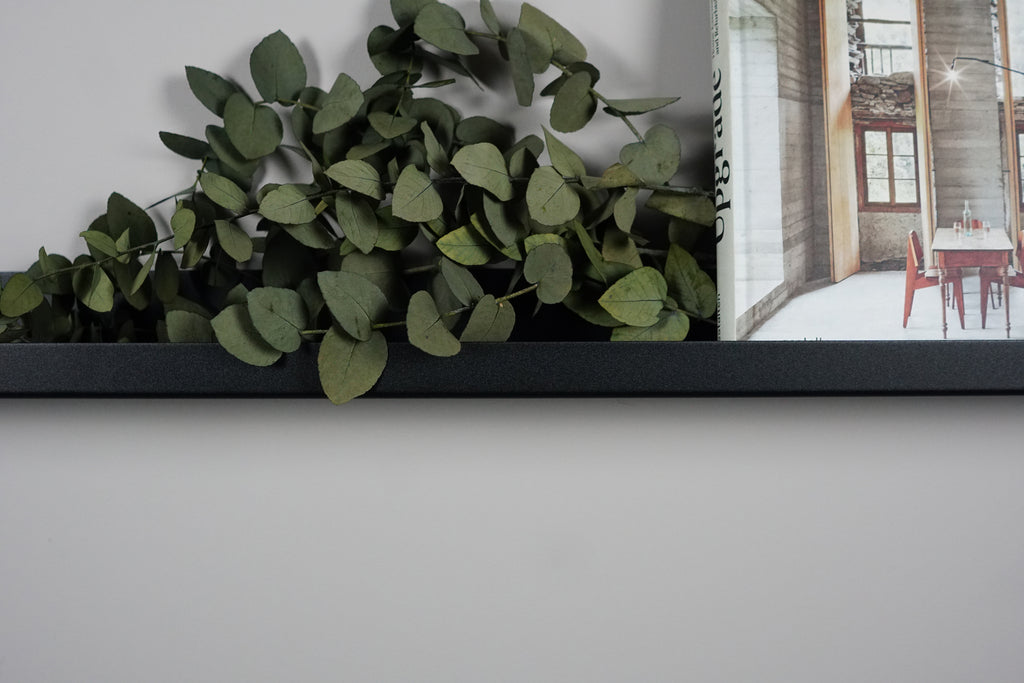 picture ledge shelf